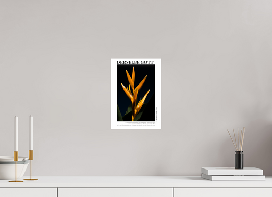 DIN A4 (21 x 29,7 cm), Classic Print Derselbe Gott