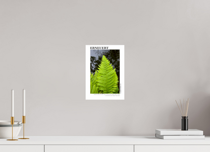 DIN A4 (21 x 29,7 cm), Fine Art Print Erneuert