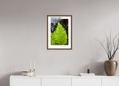 DIN A2 (42 x 59,4 cm), Classic Print in Floater Frame - Walnut Erneuert