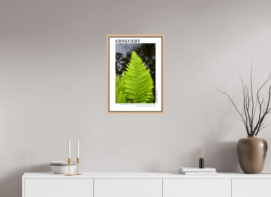 DIN A2 (42 x 59,4 cm), Classic Print in Floater Frame - Natural Maple Erneuert