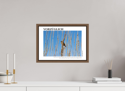 DIN A3 (42 x 29,7 cm), Fine Art Print in Floater Frame - Walnut Vorzüglich
