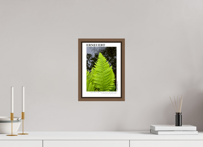 DIN A4 (21 x 29,7 cm), Fine Art Print in Floater Frame - Walnut Erneuert