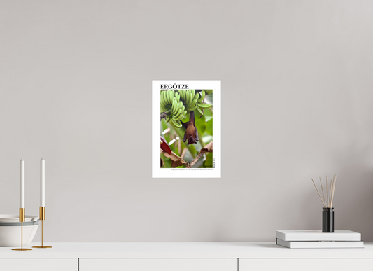 DIN A4 (21 x 29,7 cm), Classic Print Ergötze