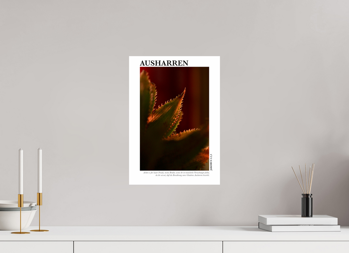 DIN A3 (29,7 x 42 cm), Classic Print Ausharren