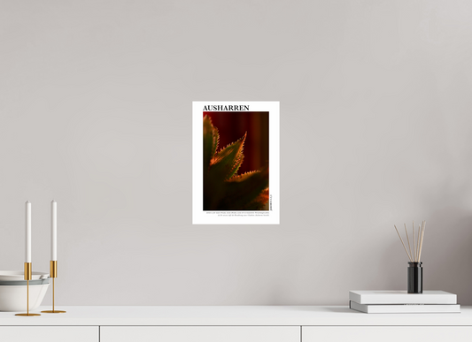 DIN A4 (21 x 29,7 cm), Classic Print Ausharren