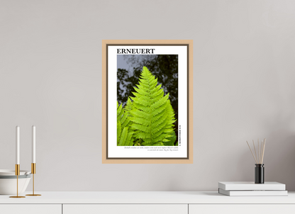 DIN A3 (29,7 x 42 cm), Classic Print in Floater Frame - Natural Maple Erneuert