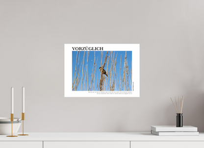 DIN A3 (42 x 29,7 cm), Fine Art Print Vorzüglich