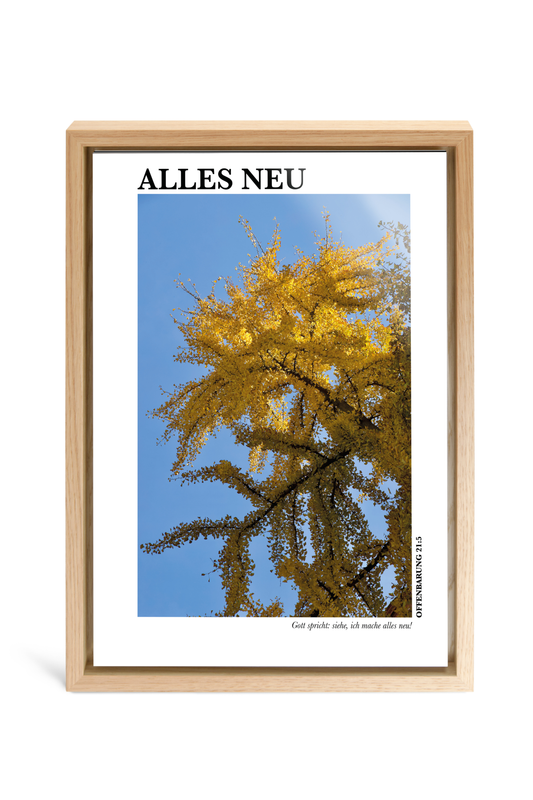 Alles Neu