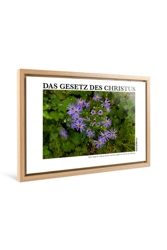Das Gesetz Des Christus