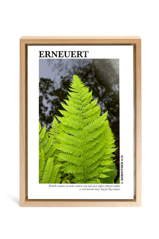 Erneuert