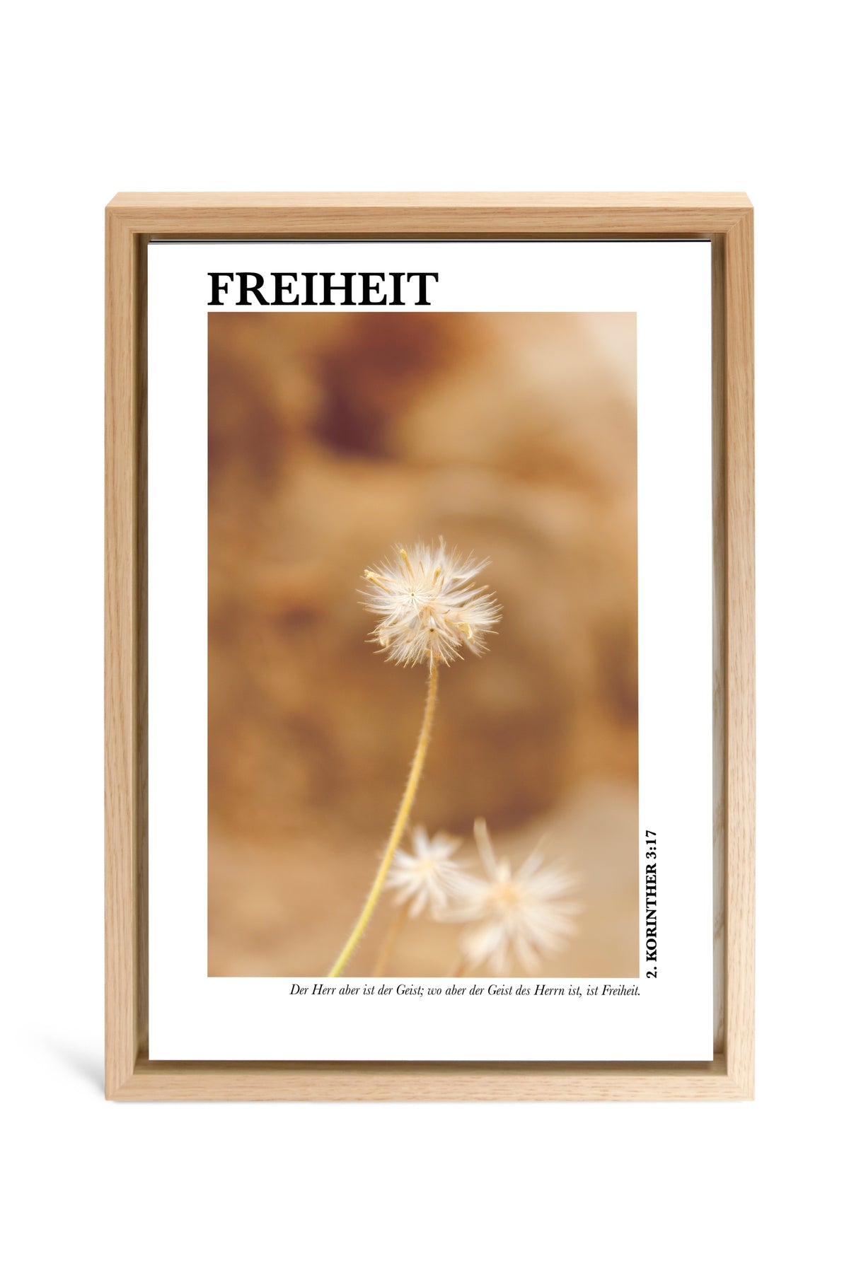 Main image Freiheit