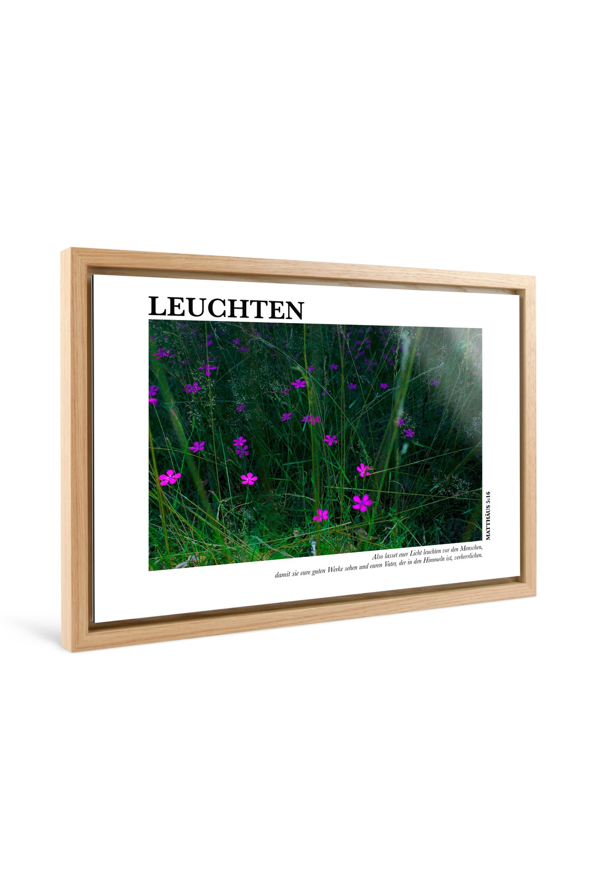 Main image Leuchten