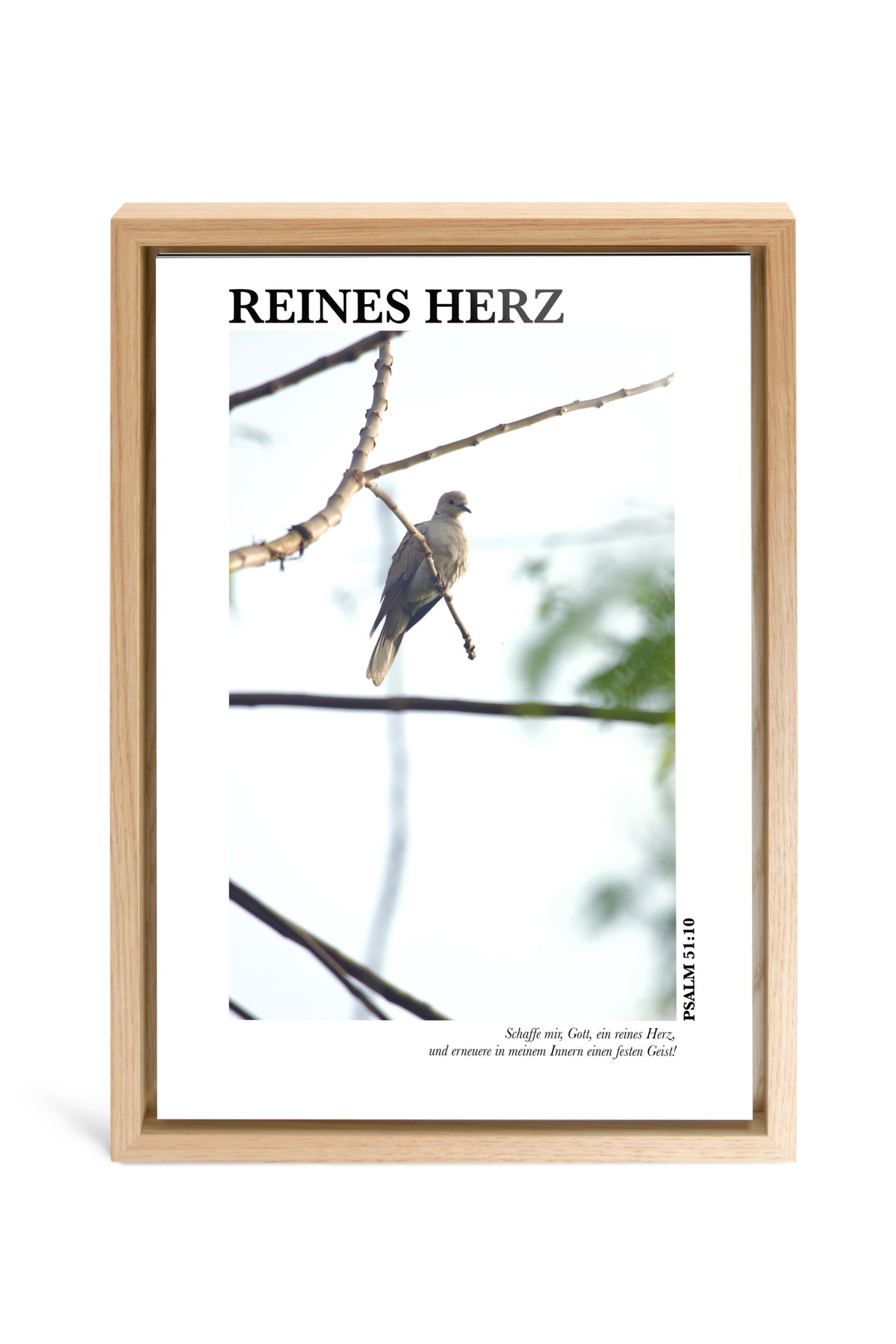 Main image Reines Herz