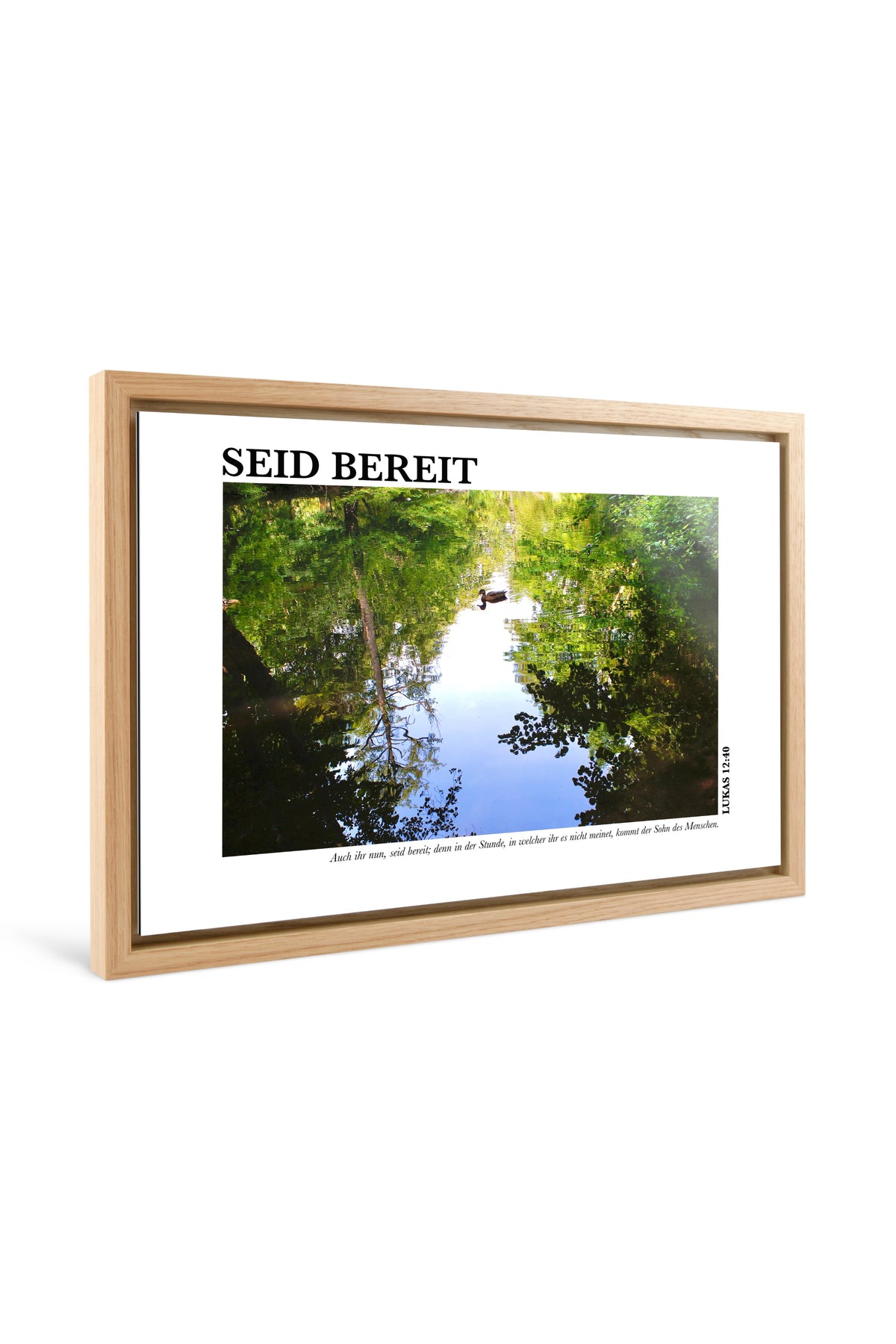 Main image Seid Bereit
