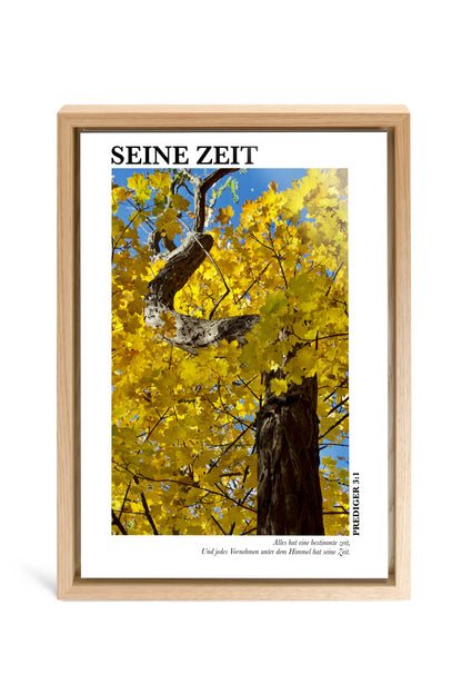 Main image Seine Zeit