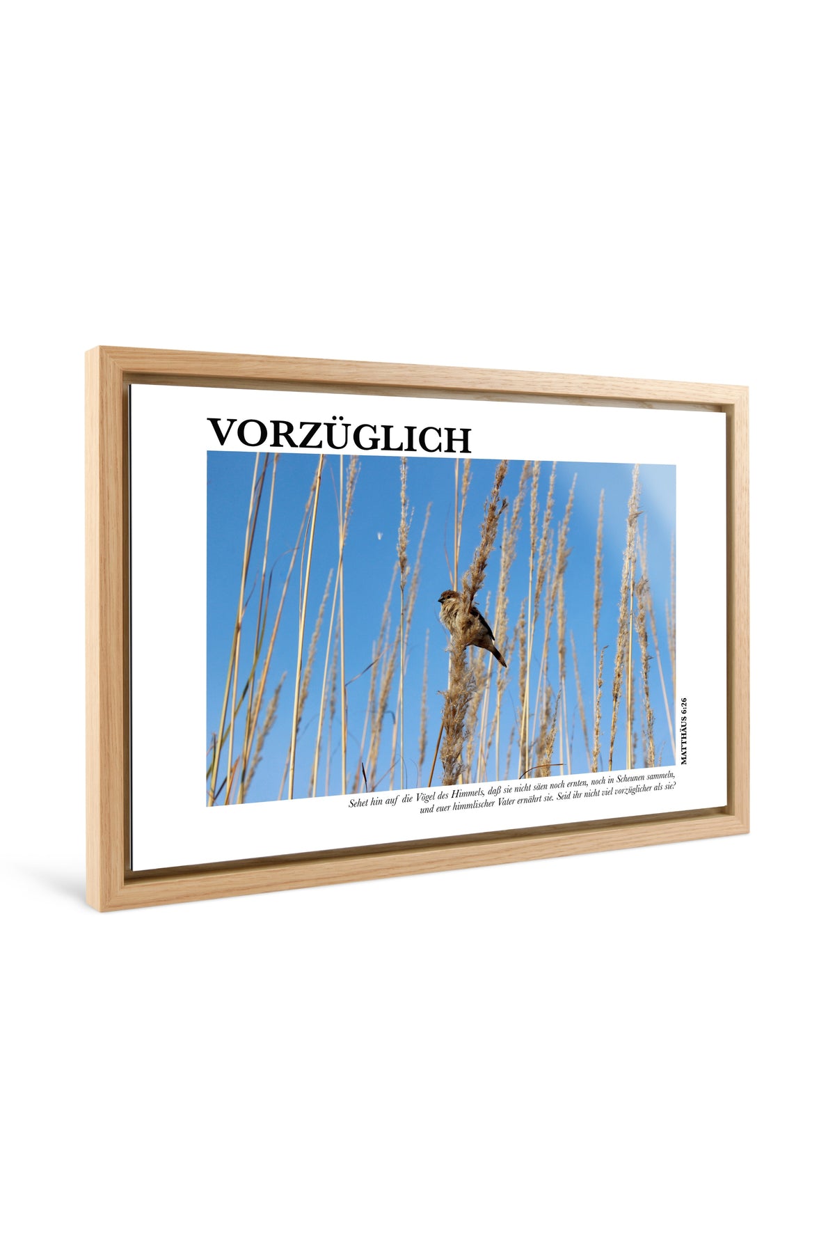 Main image Vorzüglich