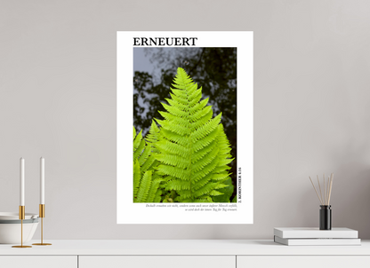 DIN A2 (42 x 59,4 cm), Fine Art Print Erneuert