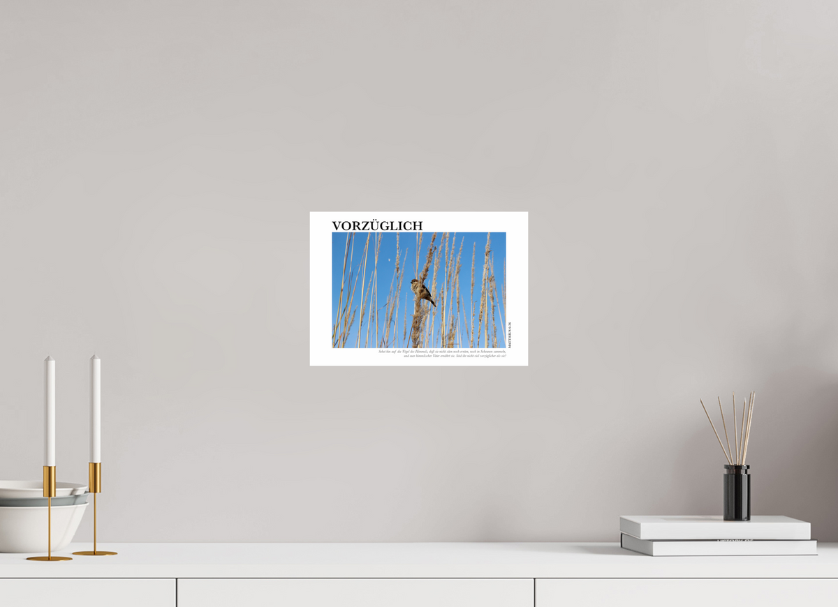 DIN A4 (29,7 x 21 cm), Fine Art Print Vorzüglich