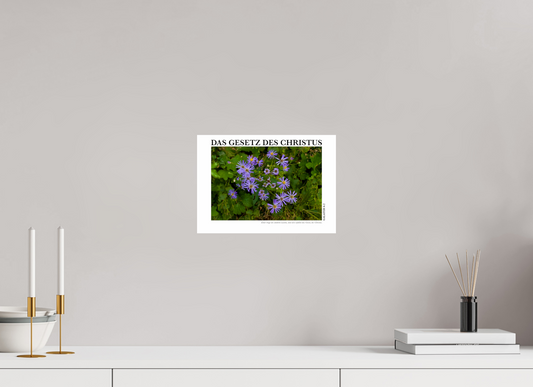 DIN A4 (29,7 x 21 cm), Classic Print Das Gesetz Des Christus