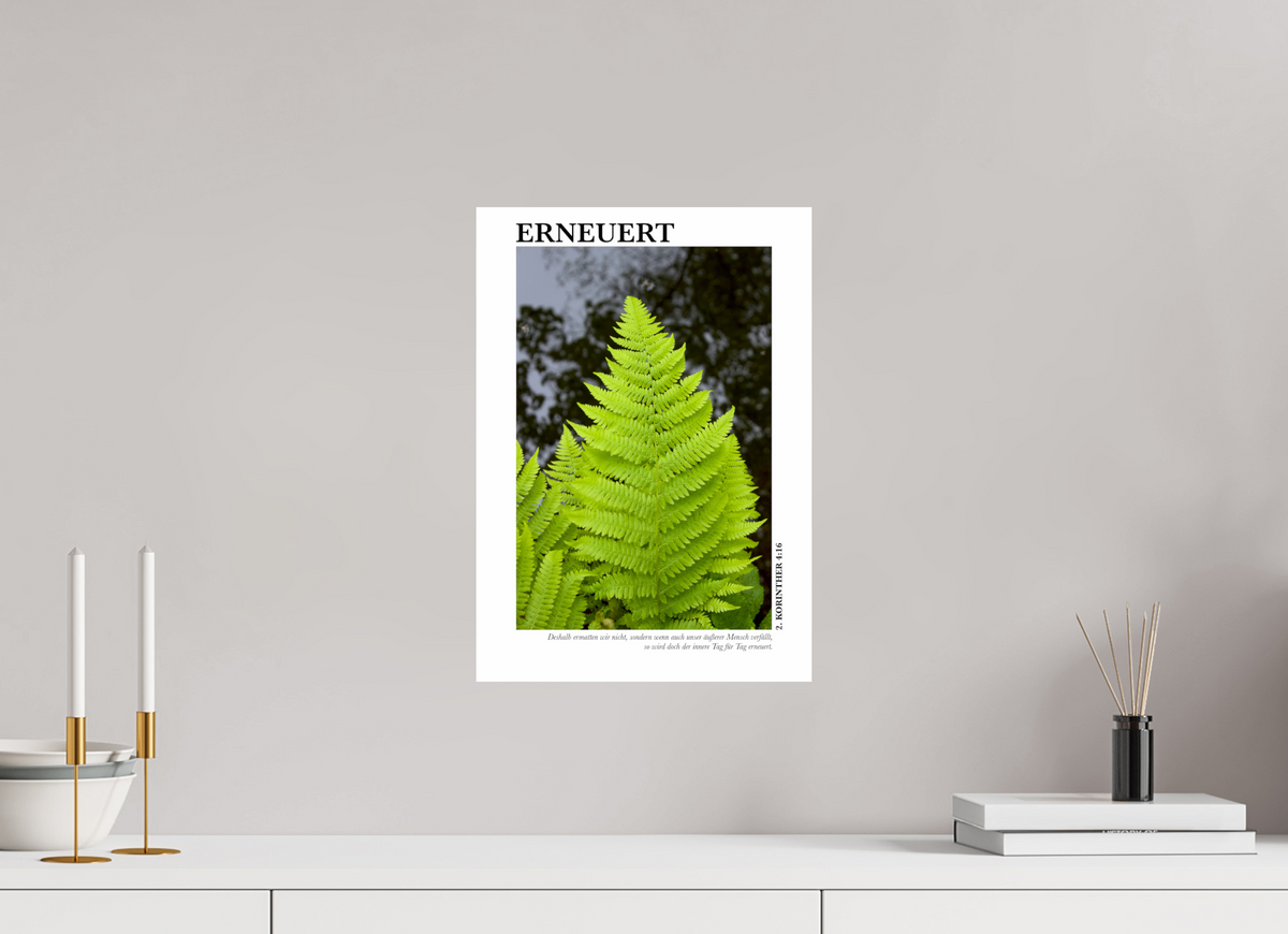 DIN A3 (29,7 x 42 cm), Classic Print Erneuert